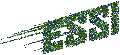 W3C