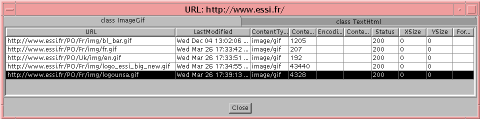 Zoom sur http://www.essi.fr/, onglet ImageGif 