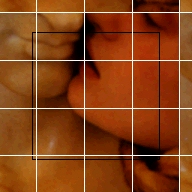 texpage