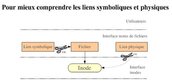 inoeuds